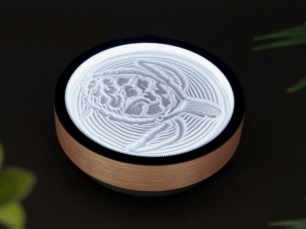 Oasis Kinetic Art